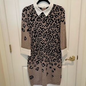 Like New Collared Sweater Dress